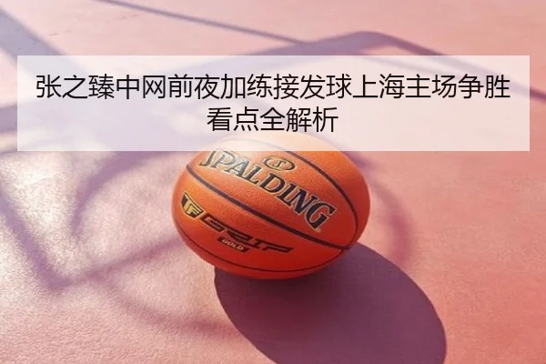 张之臻中网前夜加练接发球上海主场争胜看点全解析