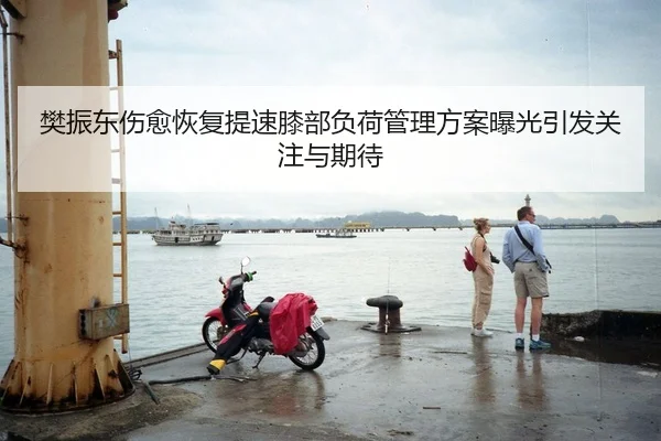 樊振东伤愈恢复提速膝部负荷管理方案曝光引发关注与期待