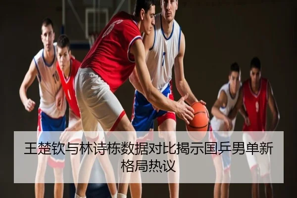 王楚钦与林诗栋数据对比揭示国乒男单新格局热议